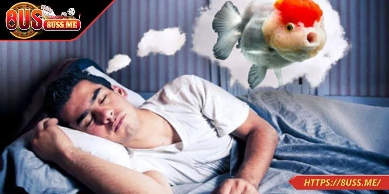 Nằm mơ thấy cá bơi trong nước là giấc mơ đặc biệt