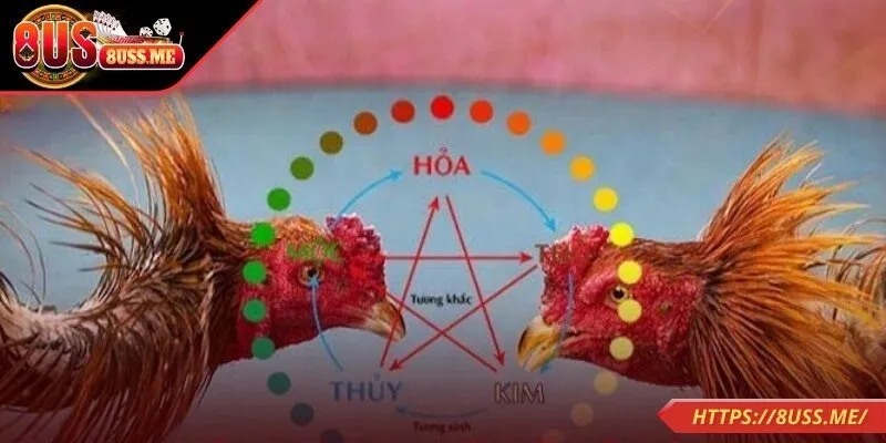 Xác định đúng màu lông chủ đạ